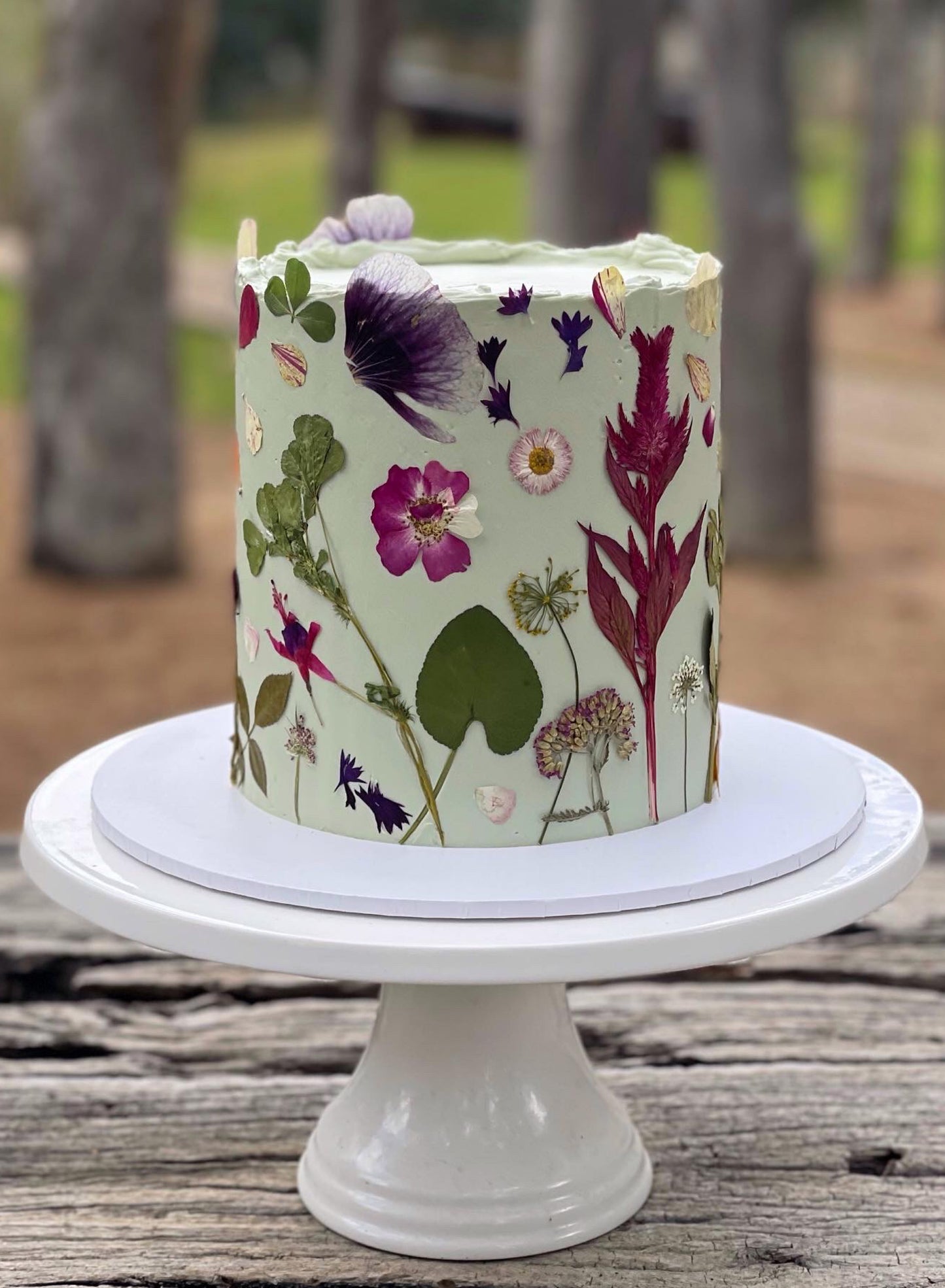 Pressed Flowers